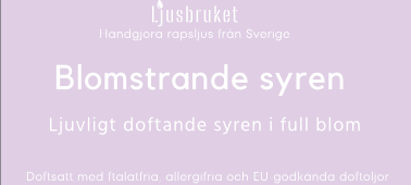 Blomstrande syren, litet